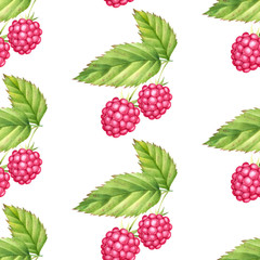 Fresh raspberry seamless pattern. Watercolor background with colorful fruits.