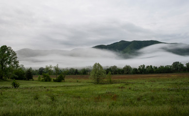 The fields of Cades Cove in summer fog.