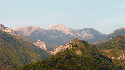 Wildlife at high altitude hidden in the depths of the mountains