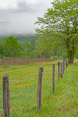 The fields of Cades Cove in summer fog.