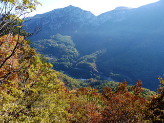 Wildlife at high altitude hidden in the depths of the mountains