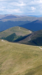 Wildlife at high altitude hidden in the depths of the mountains