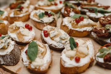 A variety of sandwiches and quick snacks - tapas on a wooden saw. Spanish specialty