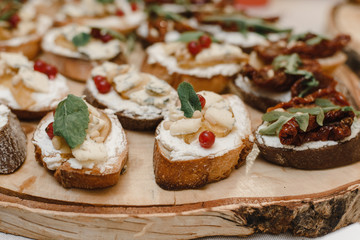 A variety of sandwiches and quick snacks - tapas on a wooden saw. Spanish specialty
