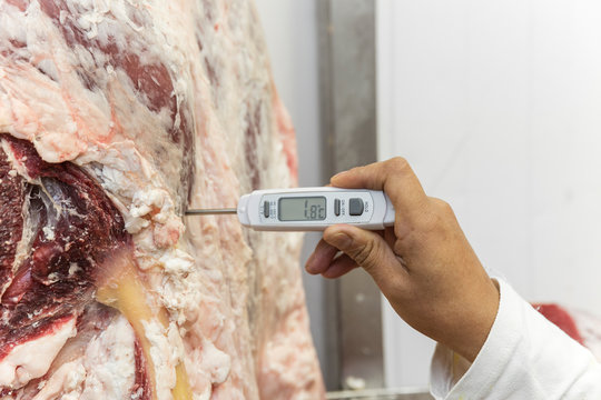 Butcher measuring the temperature of a piece of meat