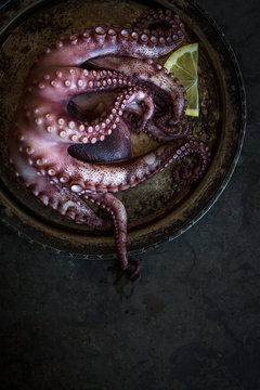 octopus on a platter