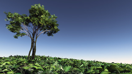 fantasy landscape concept art with majestic old tree