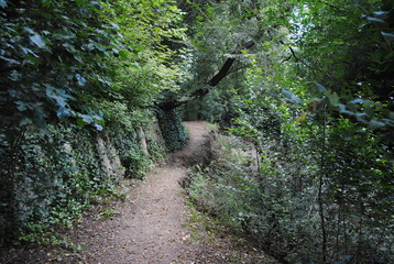 arroyo