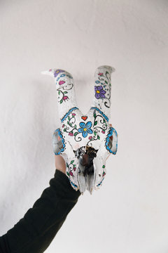 Pained skull of goat in hand