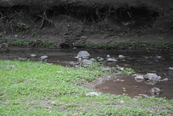 arroyo
