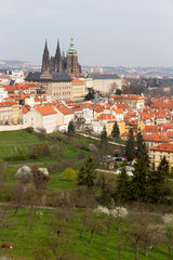 Obraz premium Early spring Prague City with gothic Castle and the green Nature and flowering Trees, Czech Republic