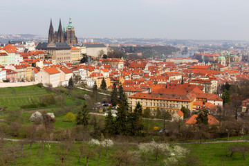 Early spring Prague City with gothic Castle and the green Nature and flowering Trees, Czech Republic