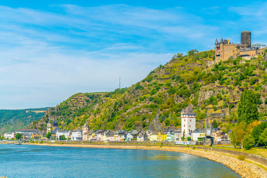 Katz Bilder Durchsuchen 1,695 Archivfotos, und Videos