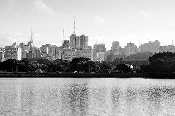 Buildings on the Paulista Avenue seen from inside the Ibirapuera Park.