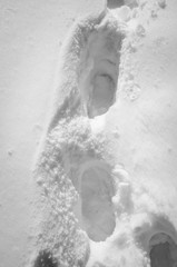 Foot prints on the snow