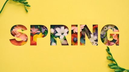 Flower Decoration with word ""spring""