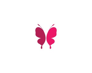 Butterfly logo template vector icon