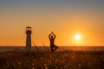 Position de l'arbre au couché de soleil près du Phare du Borgot aux îles de la Madeleine, Québec, Canada © Claude