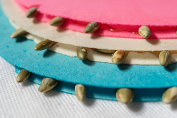 Typical mexican sweets/Color Wafer