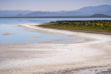 Salt crystals on the shoreline of the temporary Soda Lake, Carrizo Plain National Monument, Central California