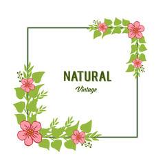 Vector illustration shape natural vintage with ornate pink flower frame