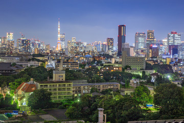 Obraz premium Tokyo Night