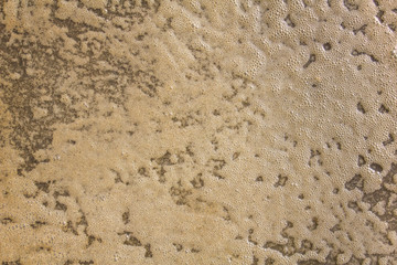 white foam bubbles on dirty dark gray water surface, top view. rough surface texture