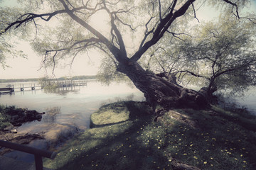 Fototapeta premium lake geneva wisconsin