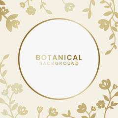 Botanical floral illustration