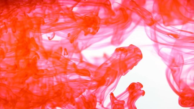 Red acrylic paint moving in water. Ink swirling in water creating abstract clouds. .