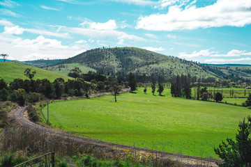 Tasmania Grassy Fields
