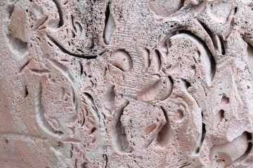The texture of the stone coquina is pink. Natural background. Sculptural detail. The concept of an ancient fossil.