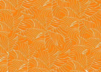 Hand drawn, Salmon sliced or Sashimi as a background