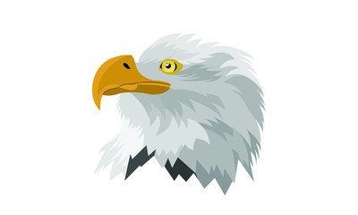 Head Eagle Full Colors