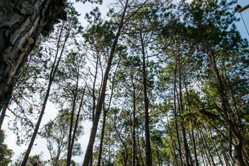 National park, Thailand