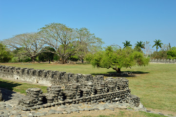Árbol 