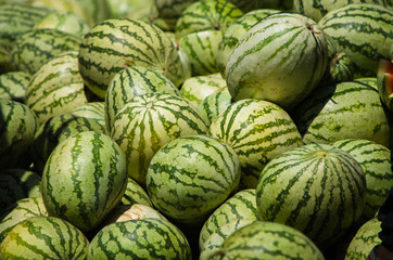 Fototapeta na wymiar Bunch of Water Melons Organic Vegetable in food market