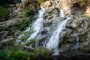 Fototapeta na wymiar Beautiful waterfall in green forest