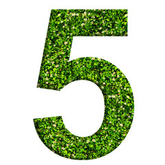 Number 5 made of green grass and clovers. Number isolated on white background