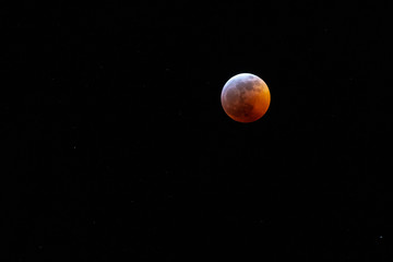 Blood Moon