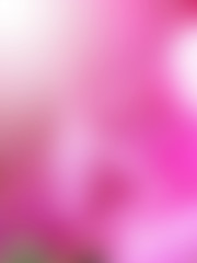 Abstract Blurred Background in pink color.