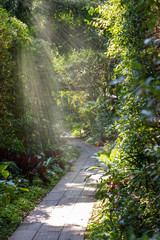 Naklejka premium Walk in the garden with a stone path in the grass.