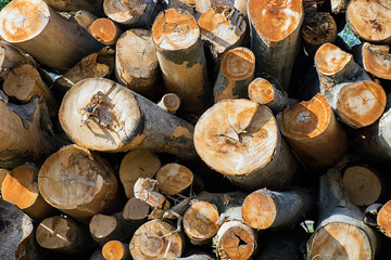 Stacked logs background