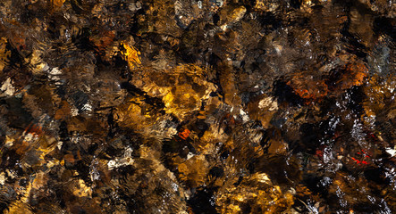 Bachlauf mit klarem Wasser