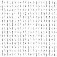 Binary code zero one matrix white background. banner, pattern, wallpaper. Vector illustration.