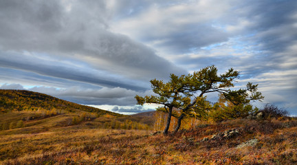 Tour in the autumn of the southern Urals. In nature reigns Golden autumn.