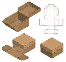 Box packaging die cut template design. 3d mock-up
