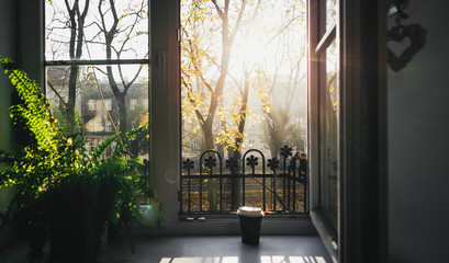 Male hand holding cup of coffee morning sun against the window