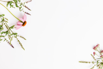 Echinacea, Yarrow, medicinal herbs background, flat lay, top view