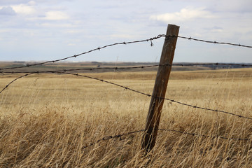 Prairie Fence